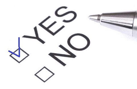 yes-no checkbox
